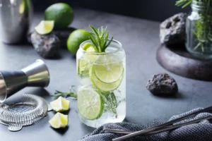 Gin & Tonic – Vodič kroz moderne varijacije večitog klasika