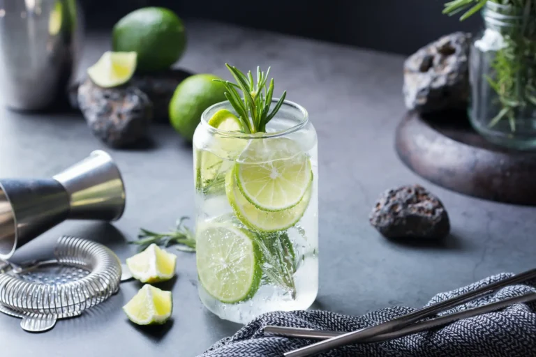 Gin & Tonic – Vodič kroz moderne varijacije večitog klasika